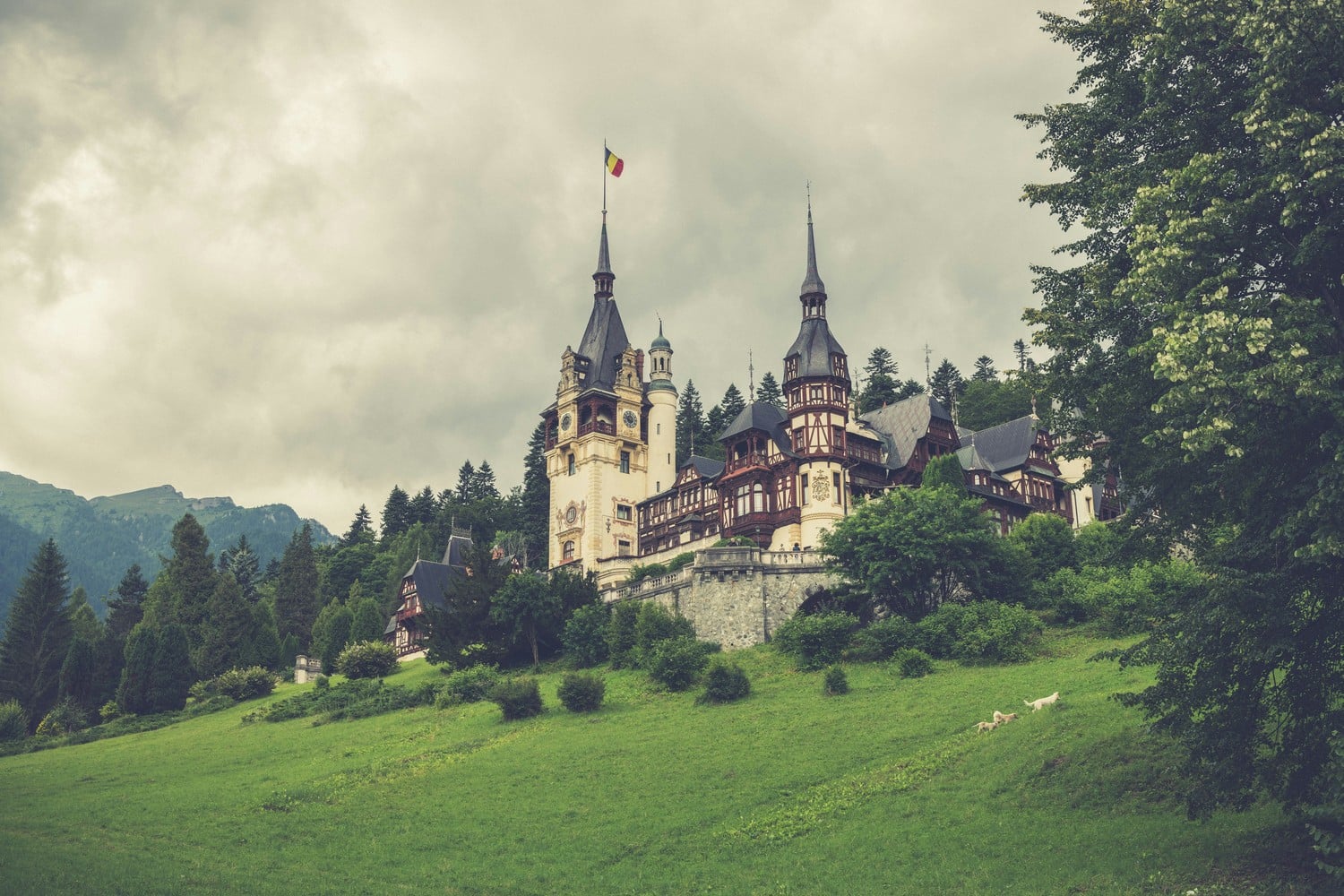 Un château imposant perché sur une colline en Transylvanie
