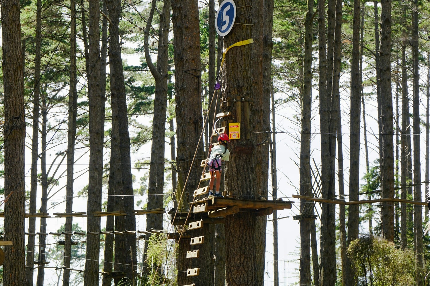 Personnes participant à une activité team building en pleine nature