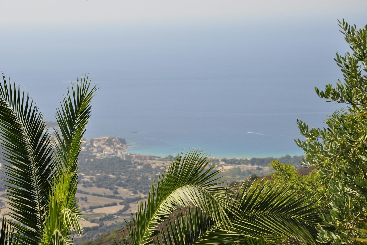 Plage paradisiaque en Corse du Sud, entre mer turquoise et maquis