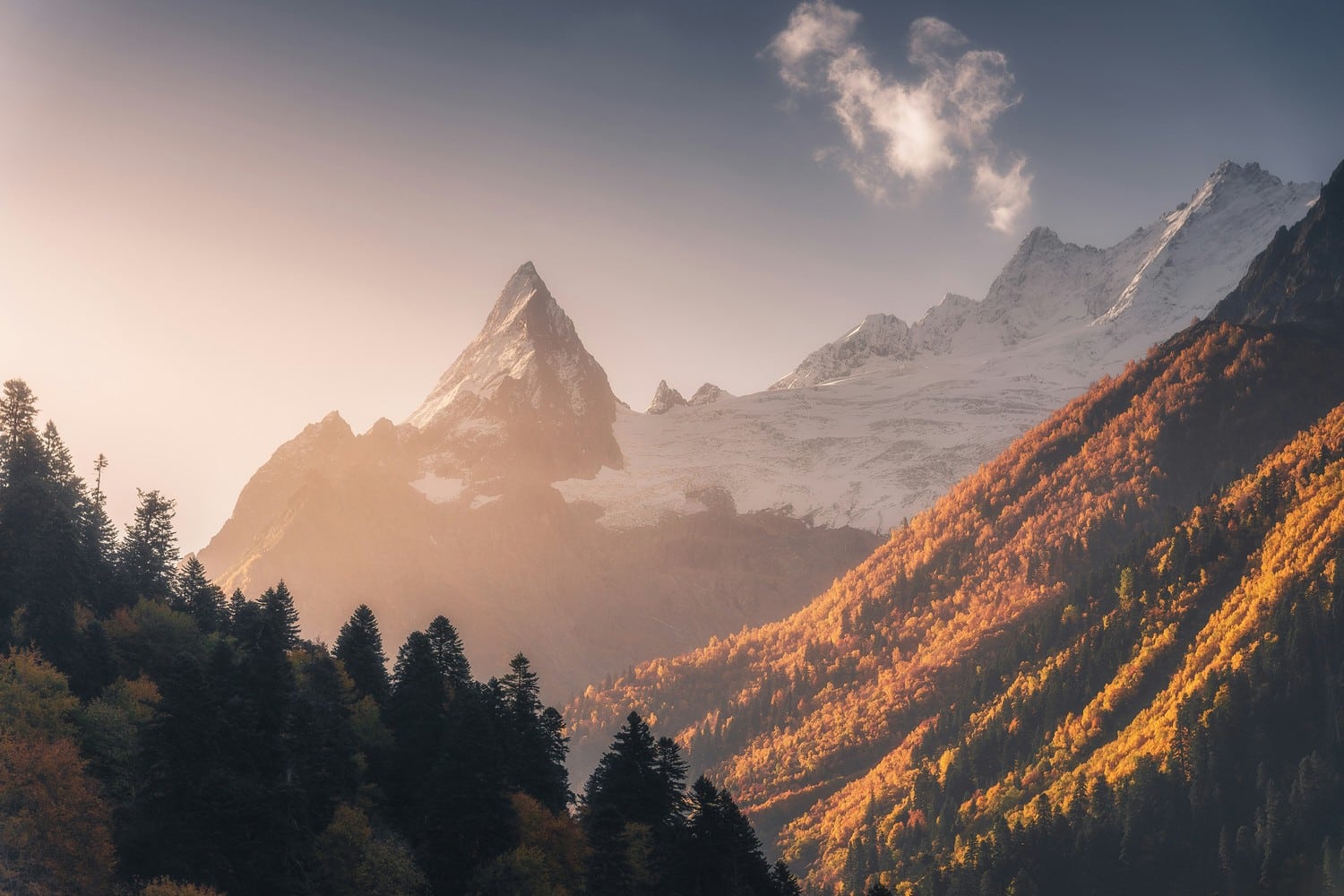Image illustrant une destination touristique pendant sa haute saison.