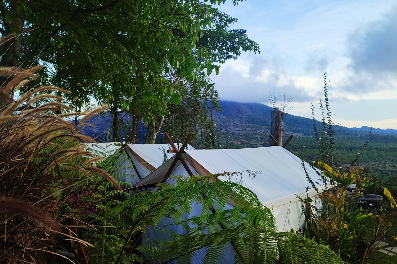 Image d'un hébergement de glamping luxueux