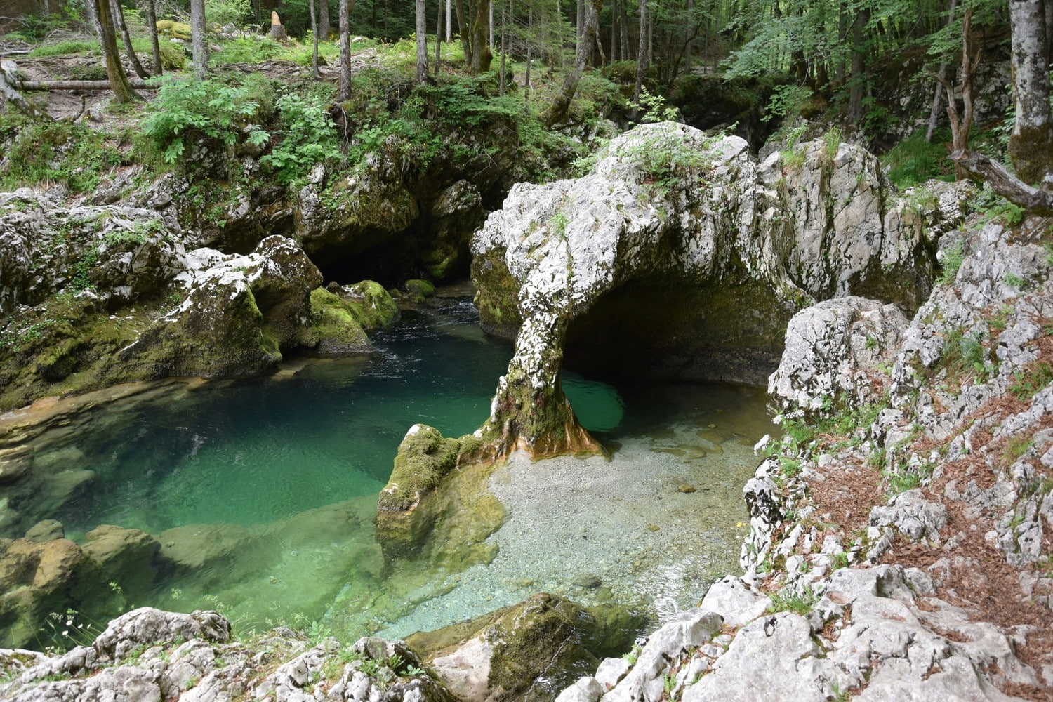 Les Gorges de la Mostnica.