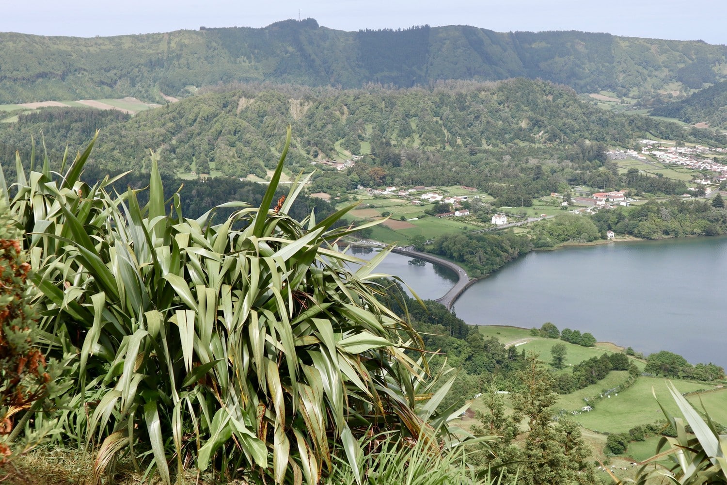 Photo des paysages verdoyants des Açores au Portugal.