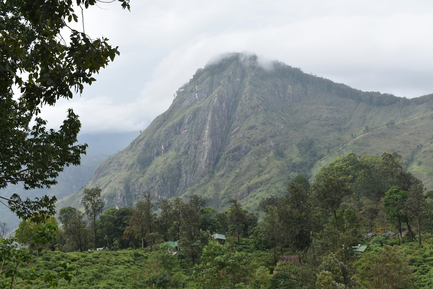Paysage de randonnée autour d'Ella, Sri Lanka
