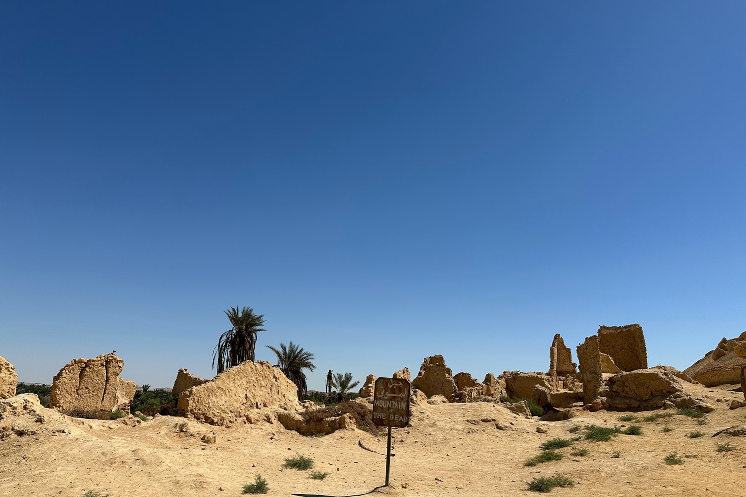 Oasis verdoyante au milieu du désert égyptien