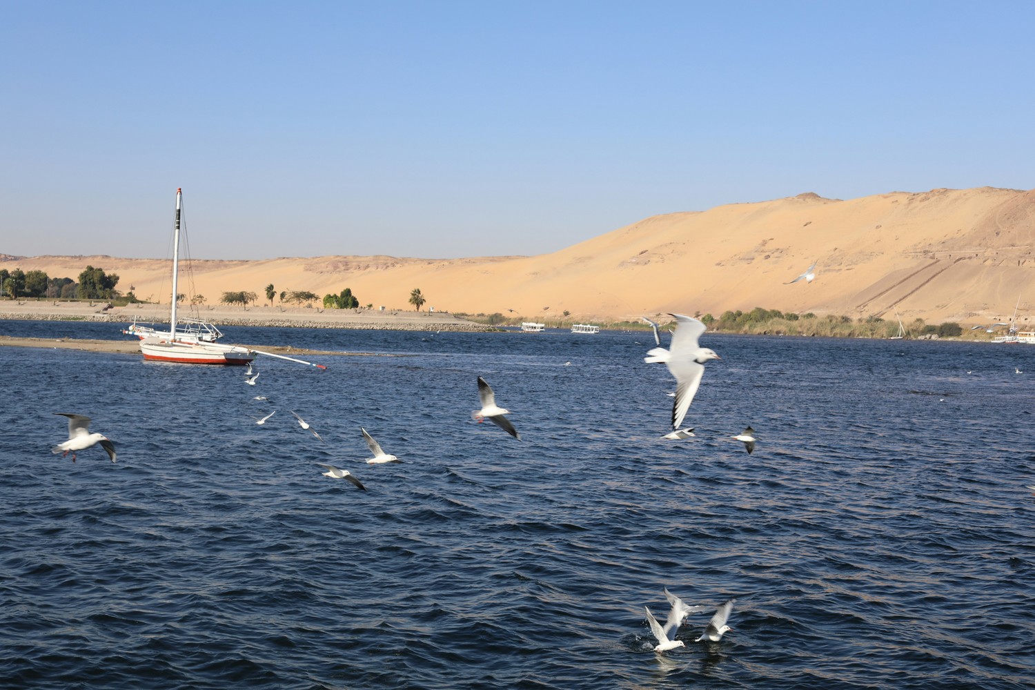 Paysage fluvial d'Assouan et de la Nubie en Égypte