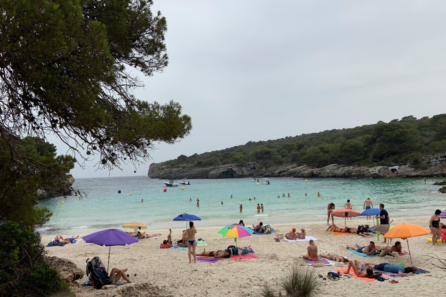 Plage du sud de Minorque avec pinède