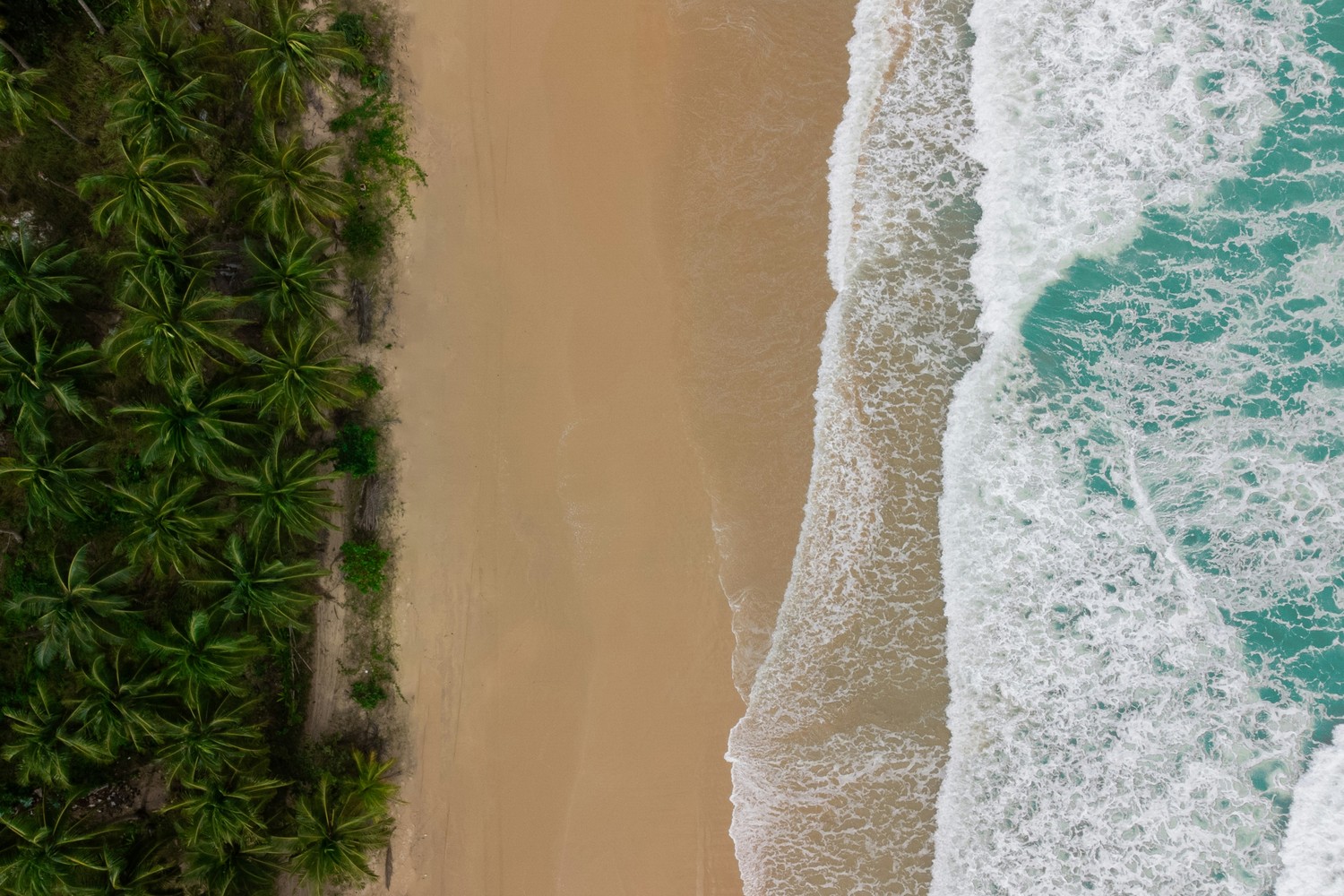 Découvrir Port Barton : entre vie locale et plages sauvages à Palawan