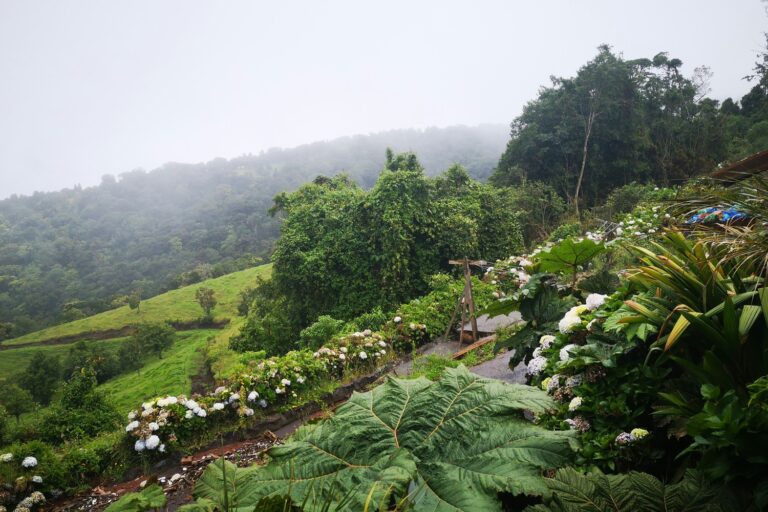 Voyage au Costa Rica : que voir et que faire au pays de la Pura Vida ?