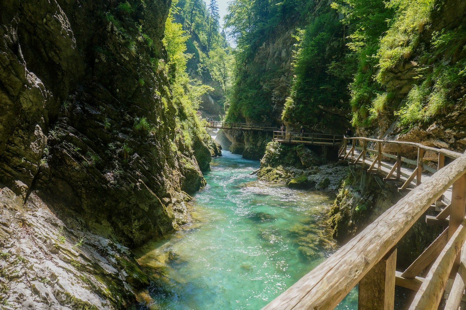 Visiter les Gorges de Vintgar : itinéraire, parking et conseils pour éviter la foule