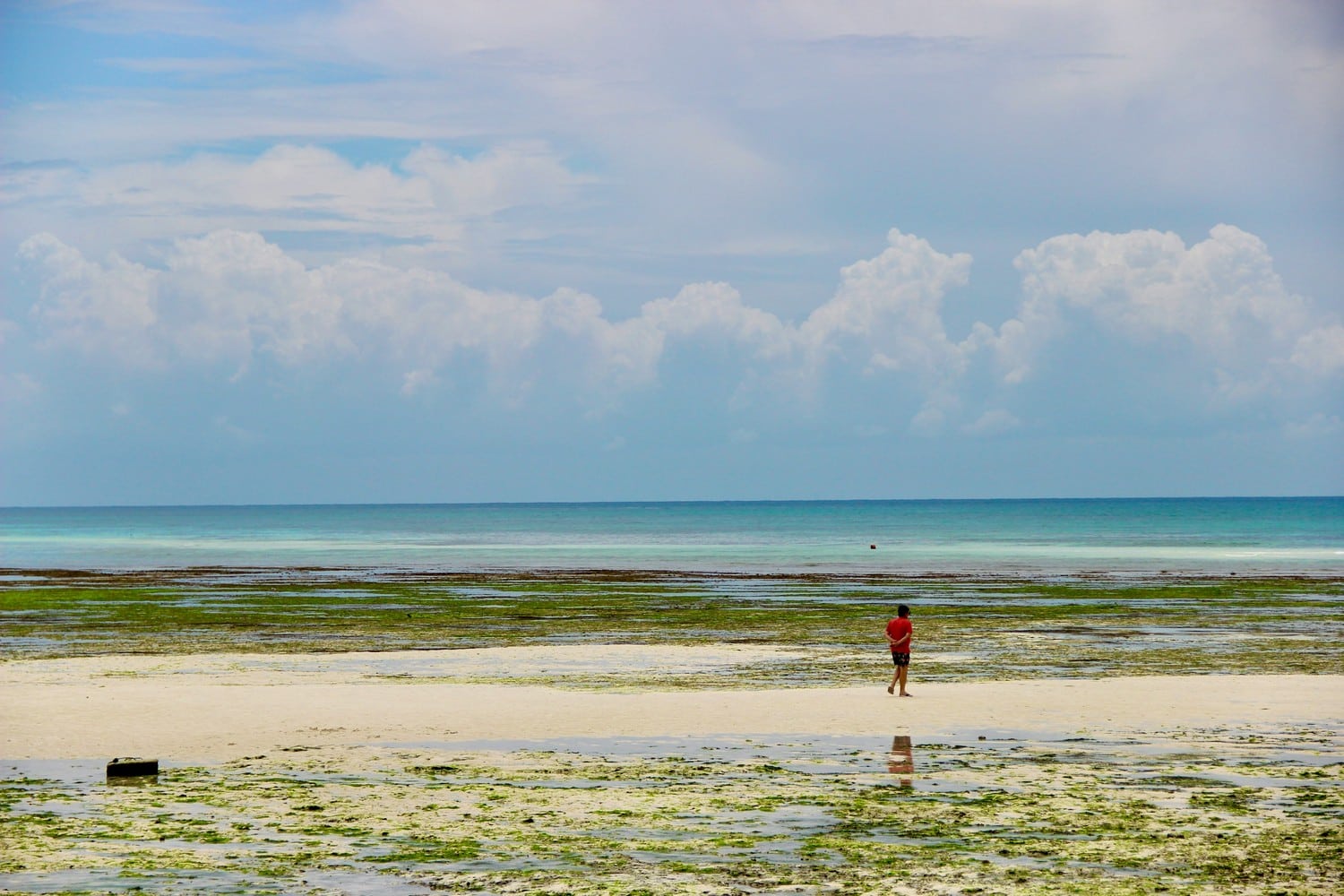 Plage de Zanzibar à marée basse montrant l'étendue du phénomène