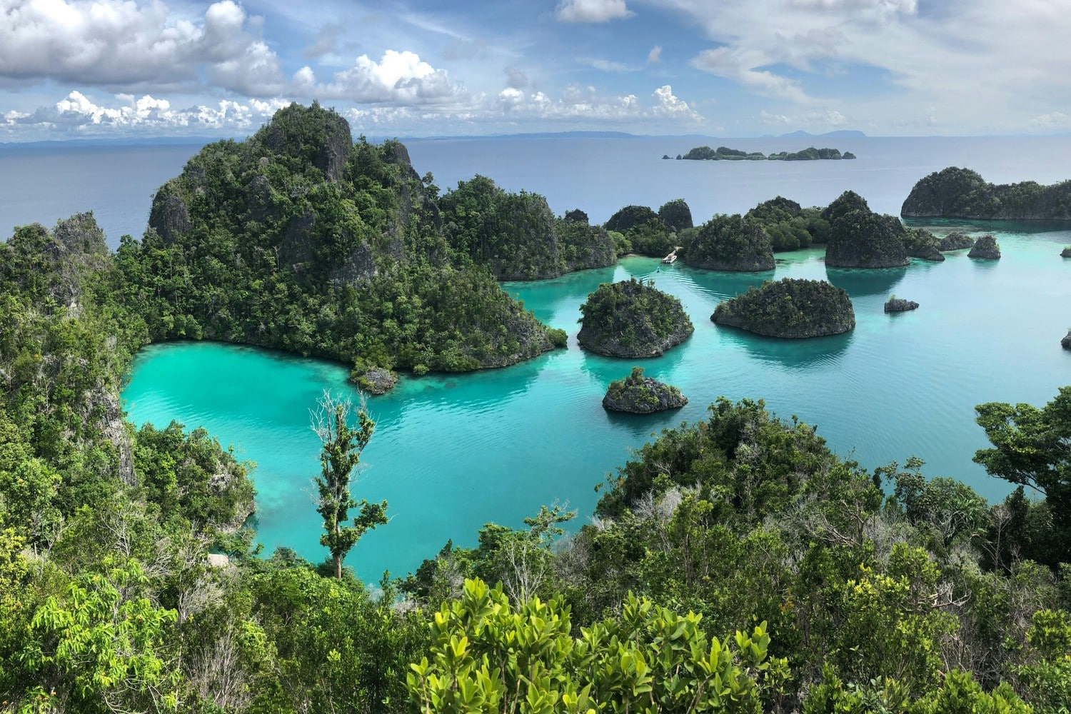 Plongée ou snorkeling à Raja Ampat, mettant en avant la biodiversité marine.
