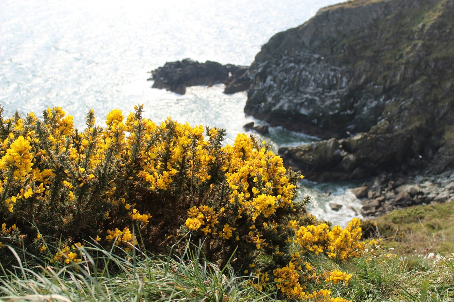 Vue du village de Howth, Irlande.