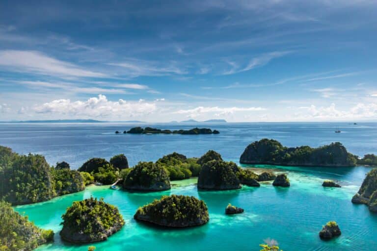 Papua Barat Raja Ampat : plongée au bout du monde