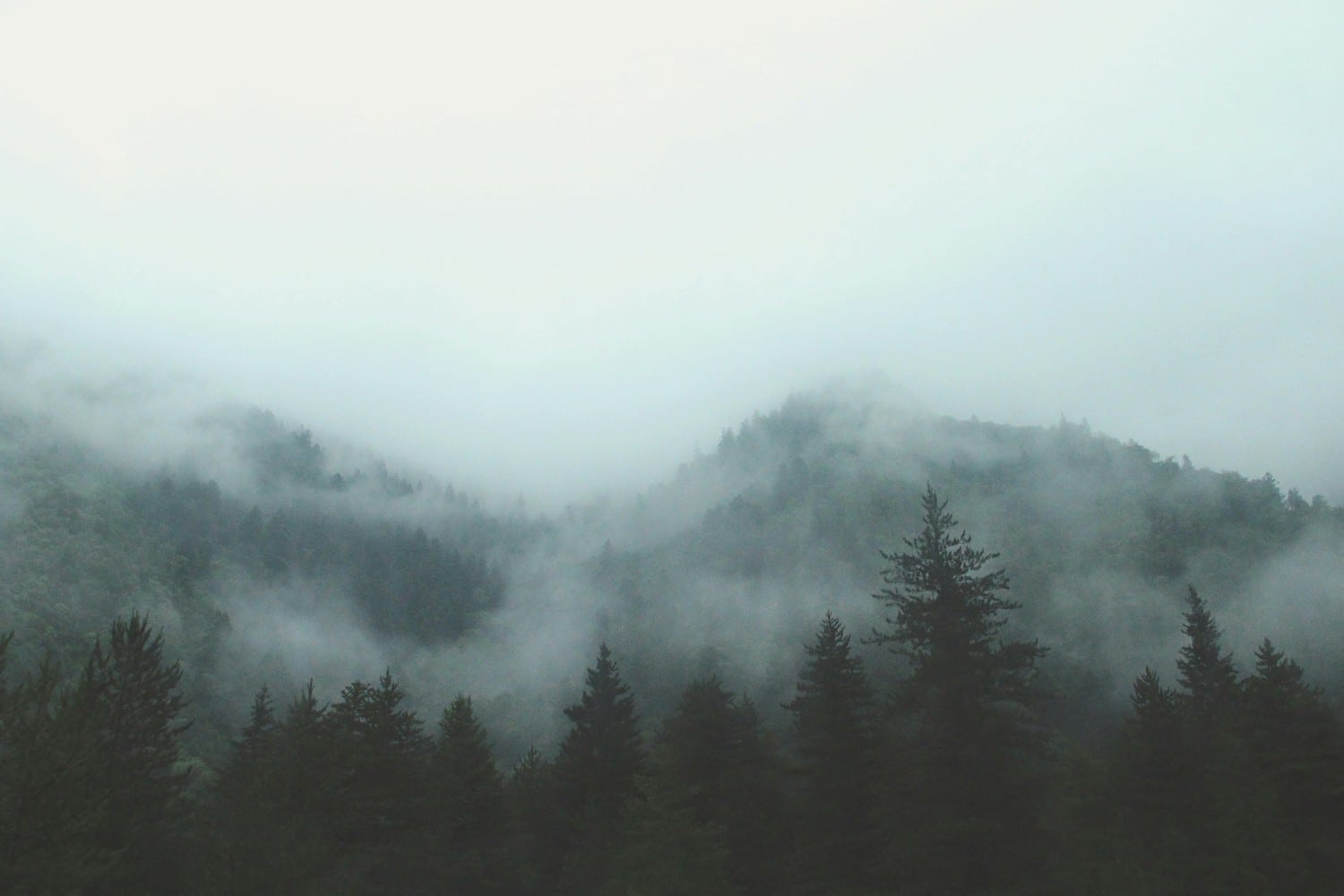 Sommets de montagnes corses sous un brouillard dense