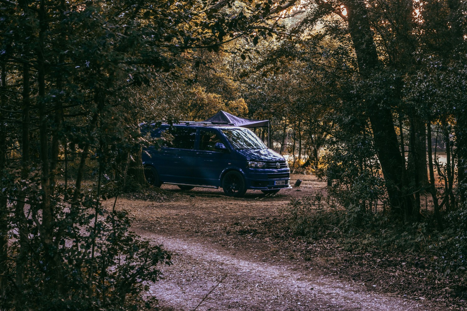 Un van de type Marco Polo stationné dans une forêt paisible