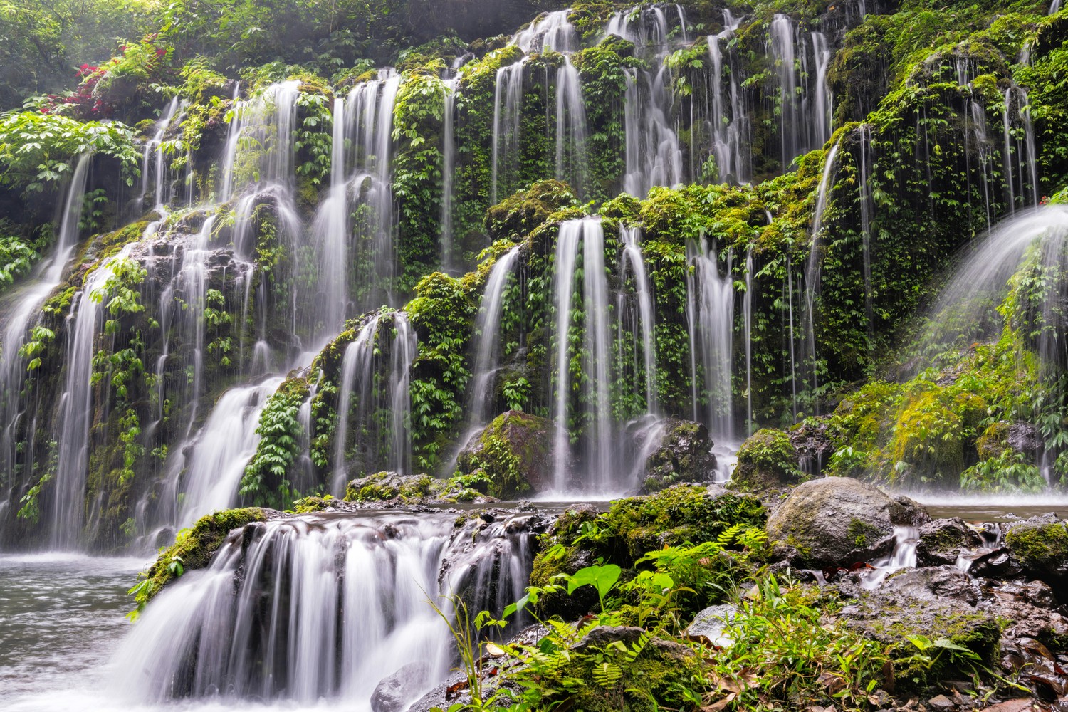 Cascade tropicale au cœur de la jungle à Bali