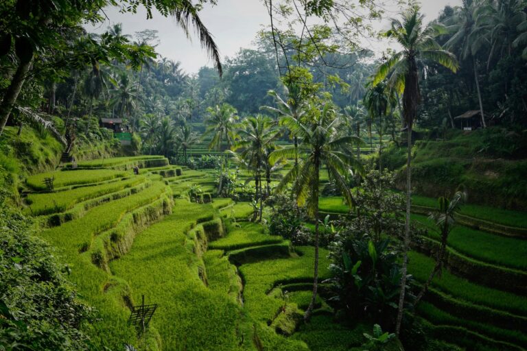 Que faire à Bali ? nos incontournables pour explorer l&rsquo;île des Dieux
