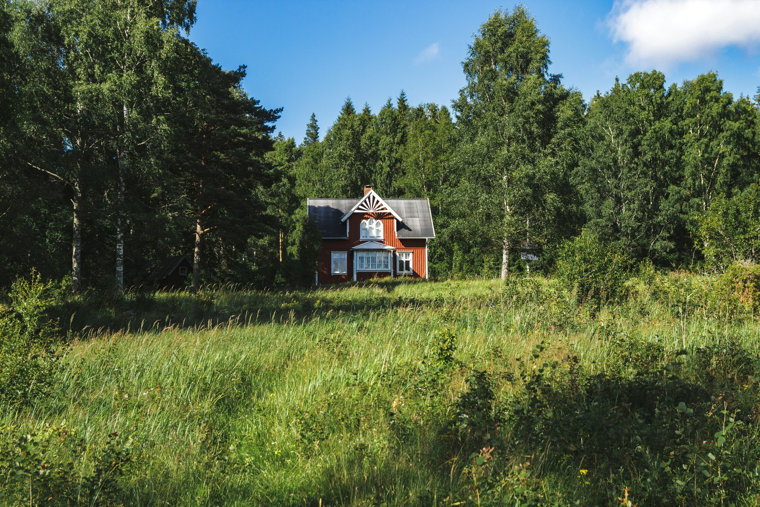 Paysage de nature sauvage avec un van aménagé