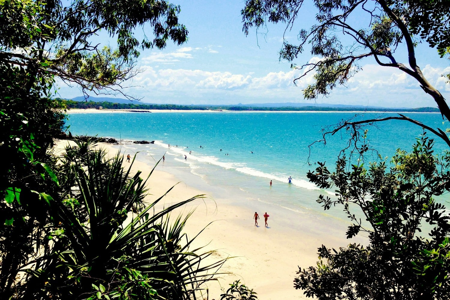 Plage paradisiaque et mer turquoise dans le Queensland