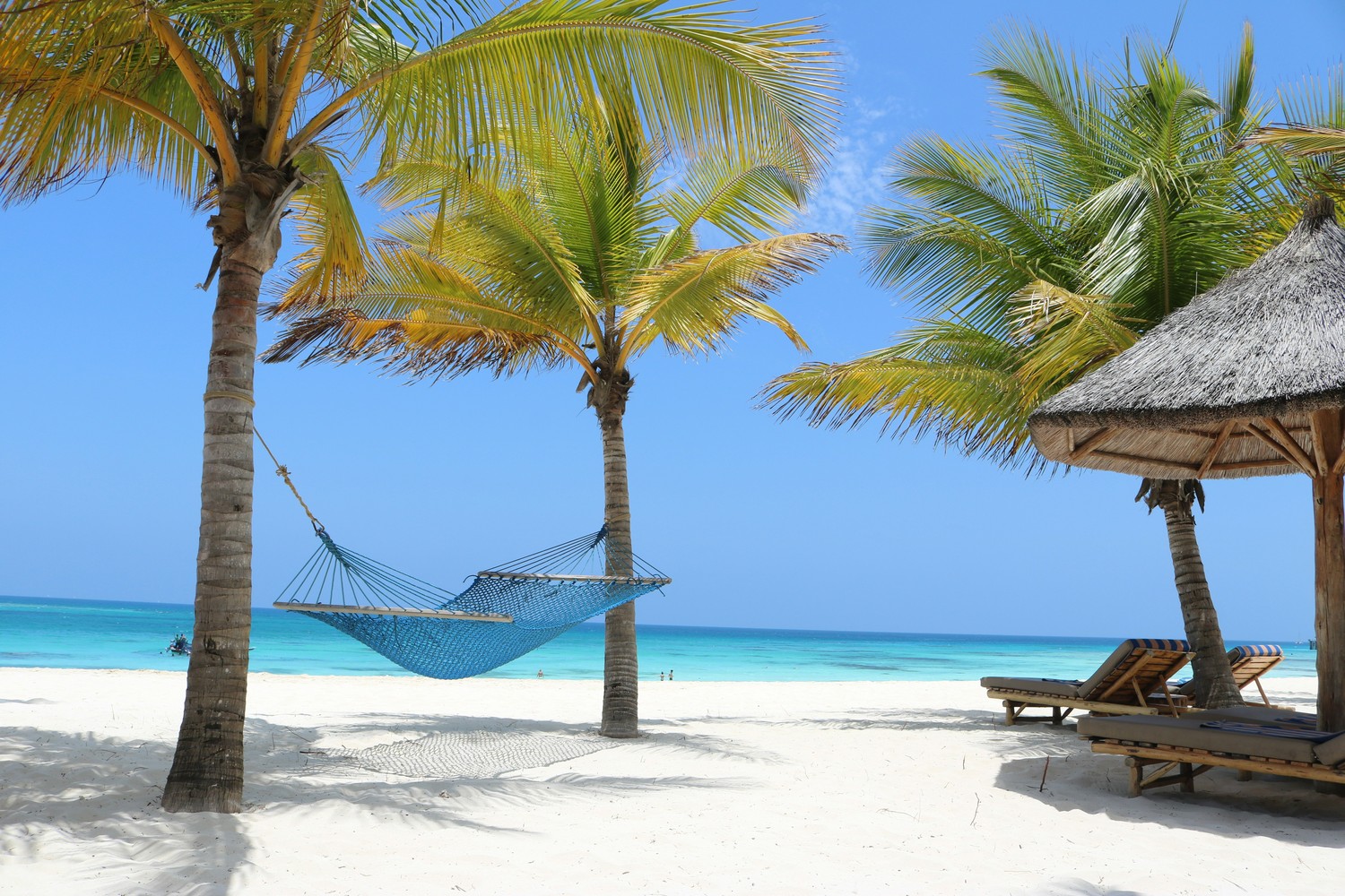 Vue panoramique d'un hôtel en bord de plage à Zanzibar