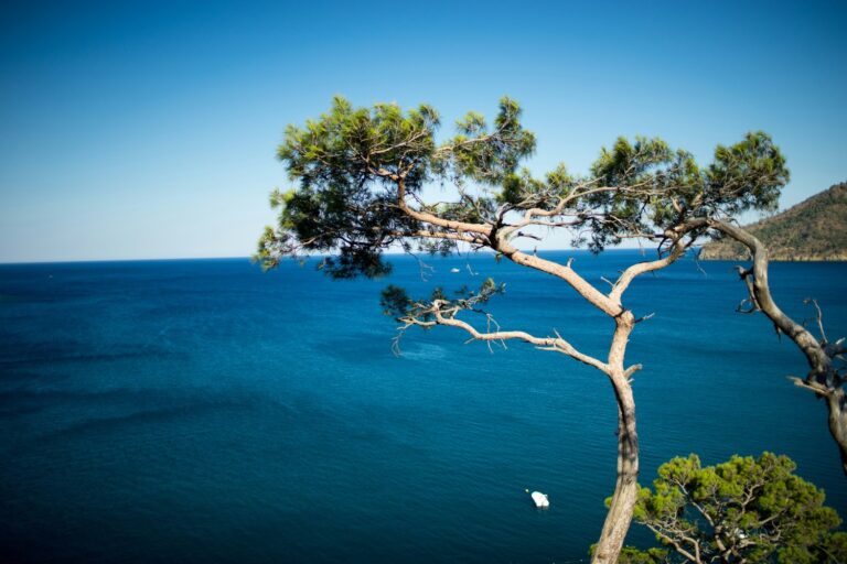 Météo et camping dans le Sud : le vrai calendrier méditerranéen mois par mois